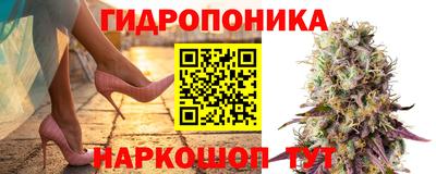 бошки Краснознаменск
