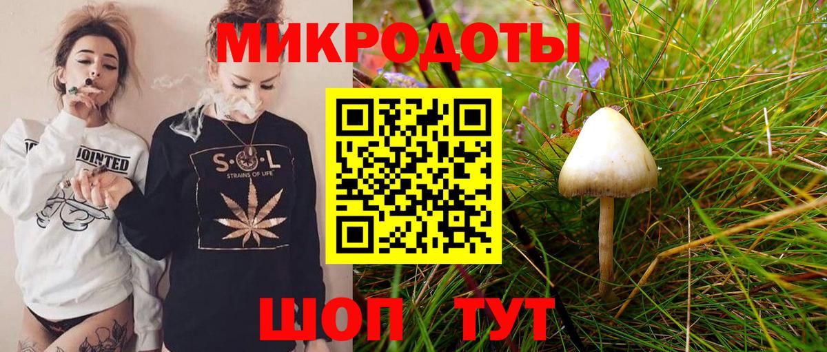 продажа наркотиков  Псилоцибиновые грибы мухоморы  Вход с VPN  Ковров 